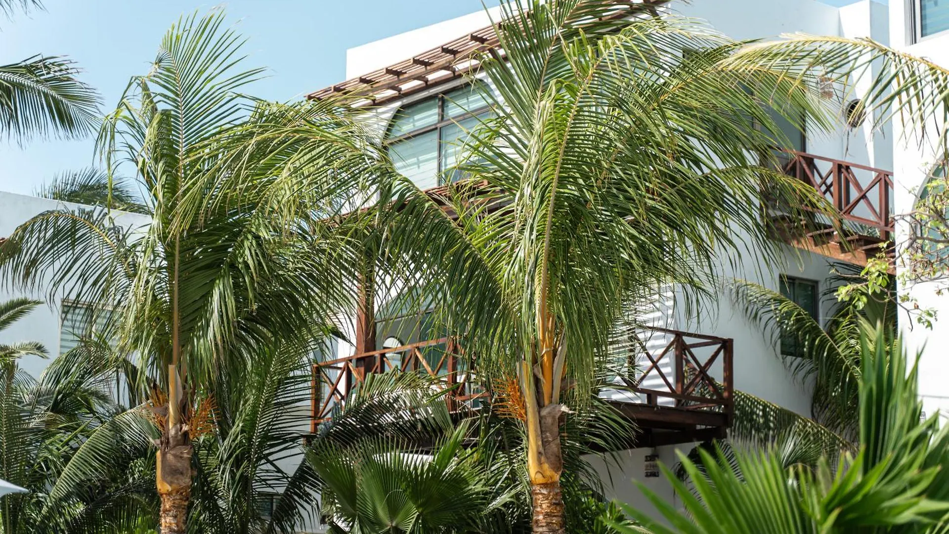 Villas Amanecer By Andiani Travel Isla Mujeres 0*,